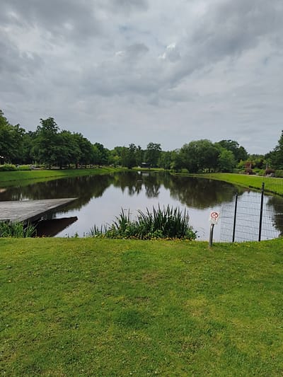 The image shows a body of water with a wooden deck in the foreground. The water reflects the surrounding trees and the overcast sky. There is a fence on the right side of the image, and a sign is visible on a pole near the fence. The area around the water is covered in green grass and some yellow flowers. This scene is located in the city of Papenburg, Germany, at the Stadtpark.