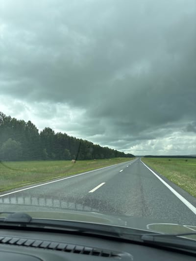 A paved road stretches into the distance under a cloudy, overcast sky. The road is flanked by a green field on the right and a dense line of dark green trees on the left. Two round hay bales are visible in the field to the left of the road, nestled near the treeline. The perspective suggests the image was taken from inside a vehicle, looking forward over the dashboard and windshield. The scene appears to be in an open, rural area, with no buildings or people immediately visible. The location is identified as Tamshiner, Russia.