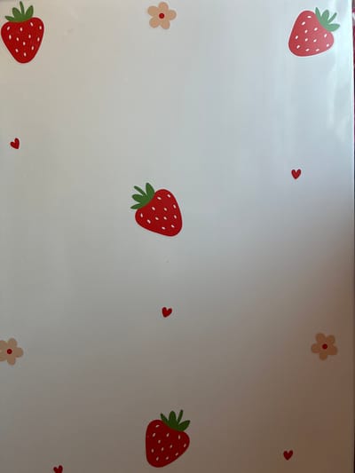 The image is a close-up, eye-level, medium shot of a white surface, possibly a binder or a wall, decorated with various stickers of strawberries, small hearts, and flowers. The strawberries are depicted in a cartoonish style with red bodies, green leaves, and white seeds. The hearts are small and red, while the flowers are light brown with a red center. These stickers are scattered across the surface in a seemingly random pattern. The lighting is even, and there is no discernible depth of field, suggesting the image was taken directly in front of the decorated surface. There are no people, animals, or any other discernible objects in the scene. The background is a plain white surface.

The image does not contain any visual information that would allow for the identification of a specific location in Haapsalu, Estonia.
