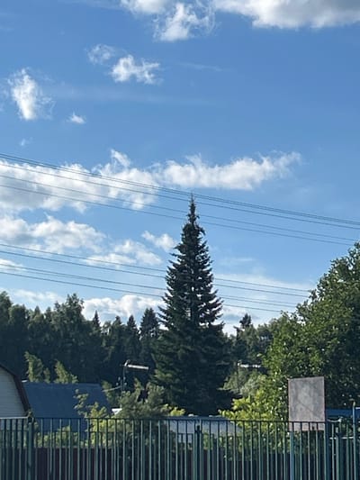 The image depicts an outdoor scene with a clear blue sky and scattered white clouds. Several power lines stretch horizontally across the upper portion of the frame. A tall, dark green evergreen tree stands prominently in the center, its pointed top reaching towards the sky. A dense line of trees, predominantly evergreens, forms a backdrop behind it. In the foreground, a dark green metal fence runs horizontally, partially obscuring a glimpse of a building with a dark blue roof on the left and other structures and greenery. A light-colored, rectangular object is visible to the right of the evergreen tree, positioned behind the fence. The overall impression is one of a somewhat rural or suburban setting, possibly on the outskirts of a city. There are no people or animals visible in the image.