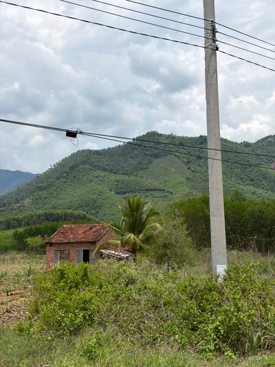 In Dien Tho, Vietnam, a rural scene unfolds with a humble, abandoned brick structure featuring a red tile roof and weathered wooden shutters. It is partially obscured by overgrown green foliage and a coconut palm. In the background, a steep, lush green mountain is covered with dense trees. A tall, concrete utility pole stands to the right, supporting power lines that stretch across the frame. The sky above is overcast with scattered clouds. The ground in the foreground is a mix of tall grass, dry stalks, and more dense greenery.