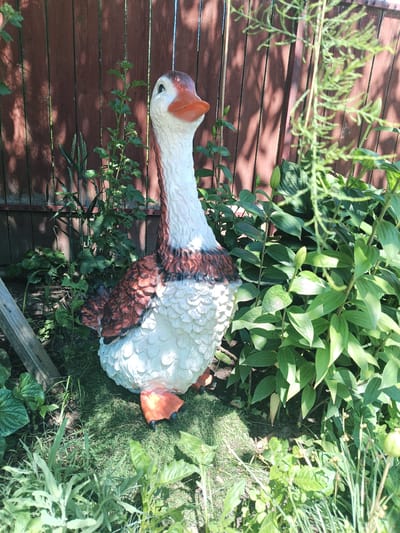 A ceramic goose statue stands in a garden in front of a wooden fence on a sunny day. The goose statue is white with brown markings on its wings and neck, and has an orange beak and feet. It is surrounded by lush green plants, including some with large, broad leaves and others with feathery foliage. A wooden post is visible to the left of the statue, leaning slightly. The fence appears to be made of vertical wooden planks and casts shadows on the ground and plants, suggesting it is midday or early afternoon. The overall scene depicts a tranquil garden setting. There is no visible text in the image.