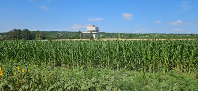 In Romănești, Moldova, a wide, low-angle shot captures a vast field of tall, green corn stalks dominating the foreground and mid-ground. The corn plants are densely packed, their leaves reaching upwards towards a clear blue sky dotted with a few white clouds. In the lower left corner, a scattering of yellow sunflowers and other low-lying green vegetation is visible.
In the distance, beyond the cornfield, a modern, multi-story building stands prominently against a backdrop of rolling green hills covered in trees. The building has a pale exterior and appears to be a concrete structure with several levels and visible windows. A tall, slender antenna or chimney rises from its roof. Power lines and utility poles are also visible stretching across the landscape between the cornfield and the distant hills. The overall impression is of a rural agricultural landscape under a bright, sunny sky.