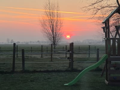 The image displays a landscape at sunrise or sunset in Eeklo, Belgium. A prominent, bright red-orange sun is visible through atmospheric haze in the upper-left sky, which exhibits hues of red, orange, and pink, with faint horizontal streaks. The midground features an expansive, flat green field bordered by a multi-strand wire fence with dark wooden posts and white insulators. A solitary, bare deciduous tree stands centrally in the midground. The distant horizon reveals a low band of mist obscuring the base of a line of smaller, bare trees. The foreground consists of green grass. On the right, a multi-component wooden playground structure is visible, featuring a bright green wave slide extending leftward, a climbing wall with red, blue, and yellow holds, and a small attached light fixture or birdhouse. A small green ball rests on the grass in the lower-left. No individuals or specific actions are depicted.