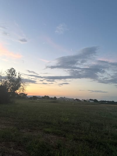 The image depicts a rural landscape near Pia, France, during twilight. The sky is a gradient of soft blues, with hints of pink and orange near the horizon, suggesting a sunset or sunrise. Wispy clouds drift across the sky, some appearing grey and others tinged with the sky's colors.
In the foreground, a field of green grass and dry vegetation stretches towards the horizon. A silhouetted tree with bare branches is prominent on the left side of the frame, partially obscuring the view of the distant structures. The middle ground features a line of low-lying buildings and trees, characteristic of a rural or semi-rural setting. The buildings appear to be industrial or agricultural, with white and grey facades. Beyond these, a line of cypress trees forms a dark silhouette against the fading light. The overall impression is one of tranquility and open space. No people or animals are visible in the image.
