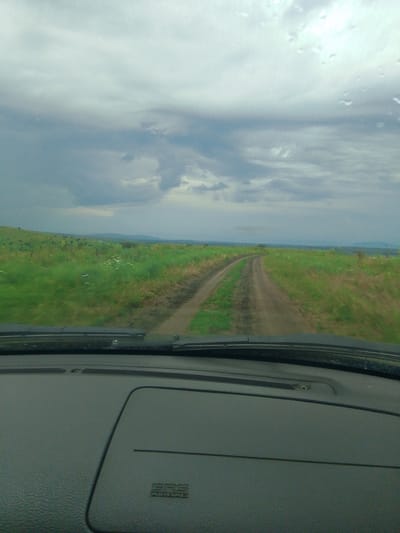 This is a first-person perspective image taken from inside a vehicle, looking out at a rural landscape. The foreground is dominated by the dark gray dashboard of the car, with a textured surface and a small, embossed "SRS AIRBAG" label on the passenger side.
The view through the windshield reveals a dirt road winding through a vast, green field. The field is covered in lush grass and dotted with small white flowers. In the distance, rolling hills fade into a hazy horizon, suggesting a wide, open space. The sky is overcast with heavy, gray clouds, indicating a cloudy or potentially rainy day. There are a few water droplets visible on the windshield, reinforcing the impression of wet weather.
The scene depicts travel through a natural, undeveloped area. The time of day is difficult to determine precisely due to the overcast conditions, but it appears to be daytime. The overall mood is somewhat subdued, consistent with the cloudy weather and the solitary act of driving through the countryside.
The location is identified as Krasnostepnovskoye, Russia. There are no people visible in the image. The notable details are the weather conditions, the rural setting, and the interior of the vehicle.
