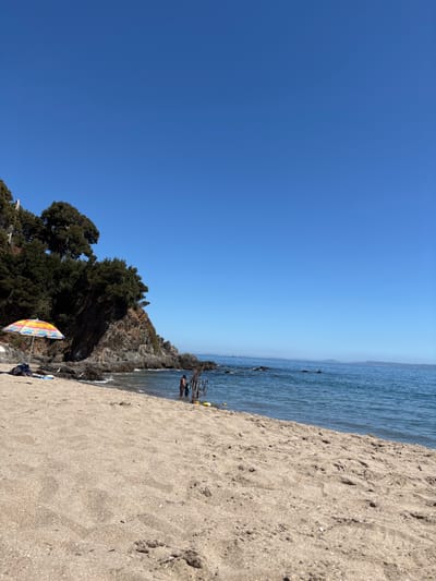 The image displays a sunny beach scene in Tomé, Chile. A clear, cloudless blue sky dominates the upper portion, meeting a calm, blue ocean stretching to the horizon where faint distant landmasses or vessels are visible. The foreground and midground consist of light brown sand. To the left, a steep, rocky cliff, densely covered with dark green trees, meets the water's edge. At the base of this cliff on the sand, a multi-colored striped beach umbrella (yellow, orange, red, blue, green) is open, alongside a dark bag and a light-colored textile item. Two individuals are standing in the shallow ocean water near the cliff base, next to a partially submerged, dark, structured object resembling fishing gear or a net. A yellow object and another light-colored object float in the water adjacent to this structure.