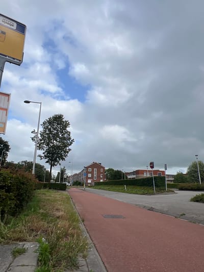 The image depicts a street scene in Leeuwarden, Netherlands, under an overcast sky with patches of blue. The perspective is from a low angle, looking upwards and slightly to the right.
The foreground features a paved area with red and grey tiles, bordered by a strip of grass and vegetation. A portion of a yellow sign with a bus icon and Dutch text is visible on the left. Further into the scene, a street with houses and trees is visible. The houses are predominantly brick with white window frames and visible rooftop details. Streetlights are scattered along the street. A large, leafy tree stands prominently in the middle ground.
The weather appears to be mixed, with heavy clouds interspersed with lighter, brighter sky. This suggests a day with variable weather conditions, possibly approaching or after rain. The overall mood of the image is calm and ordinary, capturing a typical residential street. No people are visible in the frame. The time of day is unclear due to the overcast conditions.
Visible text includes "Buzz" on the yellow sign. Other text on the sign is too blurred to be legible. The overall scene suggests a suburban environment within the city.