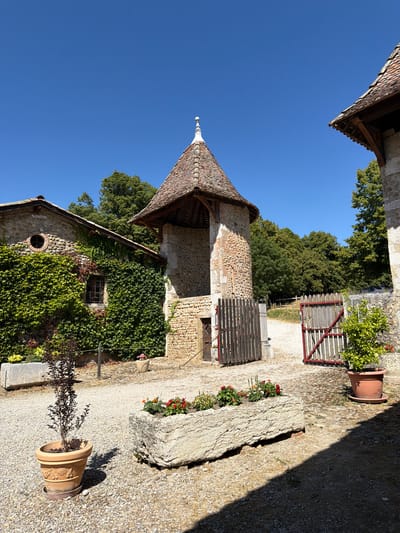 The media file shows a courtyard in Val-de-Virieu, France, on a sunny day. The scene is dominated by stone buildings with tiled roofs, one featuring a conical turret. One building is partially covered in ivy, with a small circular window visible. Another section of the building has a pitched roof supported by wooden beams.
In the foreground, a large, rough-hewn stone slab rests on a gravel surface. To its right, a terracotta pot holds a dark-leaved plant, and further to the right, a second terracotta pot sits empty. The courtyard is paved with small, light-colored stones.
In the background, a wooden gate with red trim is visible, leading to a grassy area and trees. A large tree with green foliage stands prominently against a clear blue sky. A red-flowered plant is also visible near the gate.
The lighting suggests it is daytime, with strong shadows cast across the ground, indicating the sun is high in the sky. There are no people visible in the media file. The overall impression is one of a historic and rustic rural setting.
