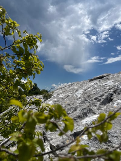 The image depicts a close-up view of tree branches with vibrant green leaves in the foreground, set against a backdrop of a rugged, grey, rocky surface. The sky above is a brilliant blue, dotted with fluffy white clouds. The scene appears to be an outdoor natural landscape, possibly a mountainous or hilly region, given the texture of the rock formation and the presence of vegetation. The lighting suggests a sunny day. There are no people or animals visible in the frame. The location is identified as Žlijebi, Montenegro.