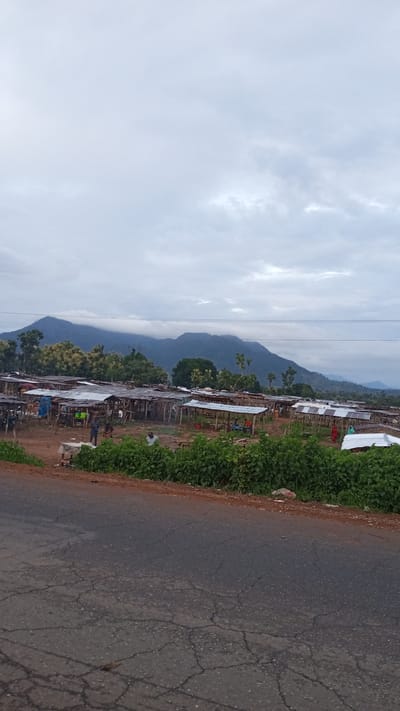 This is a wide shot of a bustling outdoor market in Tataura, Nigeria, under a cloudy sky. In the foreground, a cracked asphalt road stretches across the bottom of the frame. Beyond the road, a dense line of green bushes marks the edge of the market. The market itself is a collection of numerous open-air stalls with corrugated metal roofs supported by wooden poles. The stalls are packed closely together, creating rows of goods and activity.
Several people are visible within the market, engaged in various activities. Some are standing and conversing, while others appear to be selling or browsing goods. The stalls seem to be selling a variety of items, though specific details are unclear from this distance. The background is dominated by lush green trees and the imposing, mist-shrouded peaks of mountains, suggesting the market is located in a hilly or mountainous region. The overall impression is one of a lively and active marketplace within a natural, somewhat rustic environment.
