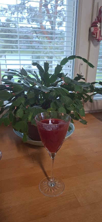 A close-up shot shows a Thanksgiving cactus with green leaves and small pink flower buds. To the right of the plant is a martini glass filled with a red liquid. The glass rests on a wooden table, and its stem is visible extending towards the bottom right corner of the frame. In the background, a window with white blinds looks out onto trees. Above the window, a decorative object with a pink and white pattern, possibly representing a hot air balloon, is visible. The scene is indoors, with natural light suggesting it could be daytime. The environment appears to be a home setting. No people are visible in the frame.
