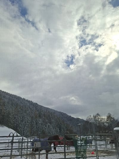 The image displays an outdoor horse paddock covered in snow, located within a mountainous, forested landscape consistent with Davos, Switzerland. In the foreground, several horses are visible within a metal panel fence enclosure. One dark brown horse wears a blue blanket, while a reddish-brown horse is covered by a pink blanket. The ground beneath the horses and extending outward is uniformly covered in snow. A green mesh hay feeder hangs from one of the silver metal fence panels, and a red truncated cone lies on the snow near the fence to the right. The midground features a steep, snow-covered mountain slope densely populated with evergreen trees, indicating a coniferous forest. To the right of the mountain, bare deciduous trees and a utility pole are present. The sky above is largely overcast with white and grey clouds, though distinct patches of blue sky are visible in the upper left and upper right quadrants, with a brighter area on the right suggesting partial sunlight. No people are visible.