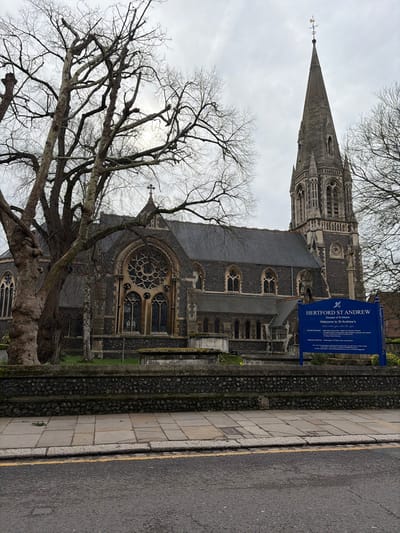 The image displays an exterior view of St Andrew's Church in Hertford, East Hertfordshire, United Kingdom. The structure is a large Gothic Revival church, constructed predominantly from dark grey flint with lighter ashlar stone dressings, featuring a steeply pitched dark slate roof. A tall, slender stone spire, topped with a weather vane shaped like a cockrel, rises from the right side of the building. The visible facade includes a prominent circular rose window above two pointed arch windows, while numerous other pointed and lancet arch windows line the church's sides.
A blue informational sign, positioned to the right of the church, identifies the building as "HERTFORD ST ANDREW" and details service times. The church grounds, situated between the building and a low, dry-stone wall, consist of green grass with several weathered, flat stone ledger slabs and sparse yellow daffodils. Multiple mature deciduous trees with bare branches partially frame the church, particularly on the left side, indicating late winter or early spring.
In the foreground, a light-colored flagstone sidewalk runs parallel to the stone wall, bordering an asphalt road. A solid yellow line is visible along the edge of the road, adjacent to the sidewalk. The sky overhead is overcast and grey. No individuals or active interactions are present within the scene.