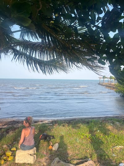 A woman is seated on a weathered tree stump at the edge of the water in Punta Gorda Town, Belize. The water is visible, with small waves. To the left is a palm tree obscuring the view of the pier. On the grass around the woman are coconuts and a hat.