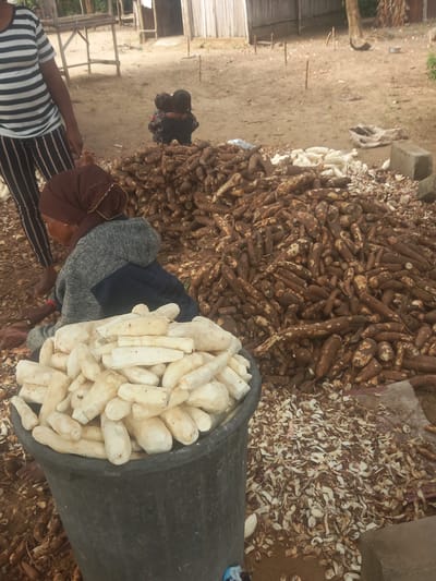 In Ikoga, Nigeria, a scene unfolds involving the processing of cassava. A woman, clad in a grey sweater and a brown headscarf, is crouched beside a large black plastic tub overflowing with peeled cassava pieces. Her right hand rests near the tub, suggesting she is actively involved in the task. To her left, another individual wearing a striped t-shirt and striped pants stands, partially visible, with their back to the viewer. In the background, a large pile of unprocessed cassava roots is visible, some with their skins still intact. Several smaller cassava pieces and peels are scattered around the ground, indicating that the processing is ongoing. Further in the background, two children are huddled together, facing away from the camera, near a wooden structure. The environment appears to be an outdoor area with sandy soil and some vegetation. The overall impression is of a domestic or small-scale agricultural activity.