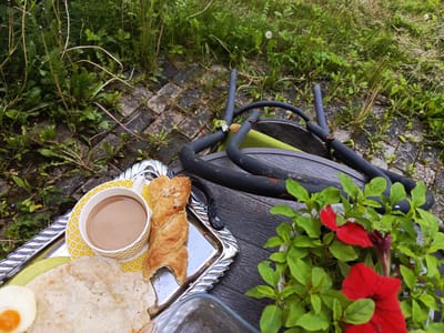 A metal tray with a breakfast setting sits on a dark wooden table outdoors, surrounded by greenery and paving stones. The tray contains a cup of coffee with a yellow patterned saucer, a twisted pastry, a flatbread, and a fried egg. To the right of the tray, a pot of red petunias is visible. In the background, a chair with black metal tubing and a green seat is partially visible. The scene appears to be in Alexandrovskaya, Russia, possibly a garden or outdoor seating area. There are no people present.