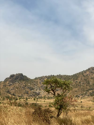 The image depicts a vast, dry, mountainous landscape identified as Assob Hausa, Nigeria. The scene is dominated by a clear, hazy sky that transitions from light blue at the top to a pale, almost white hue near the horizon. In the midground, multiple rocky hills rise, characterized by exposed grey and tan rock formations interspersed with sparse, dry brown vegetation and small green bushes. A prominent, medium-sized tree with green and reddish-brown foliage stands in the lower-right foreground, partially obscuring the distant hills. To its left, a smaller, darker bush is visible. The foreground consists of tall, dry, golden-brown grass. No individuals, structures, or discernible human activity are present. The environment appears arid and undeveloped.