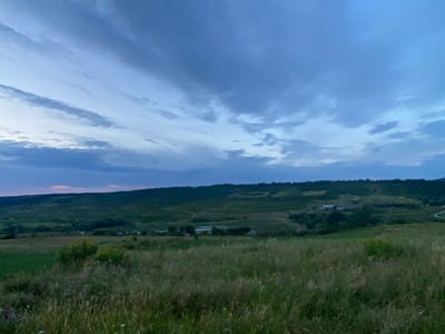 This image depicts a rural landscape under a twilight sky, likely in or near Horodca, Moldova. The foreground is dominated by a field of tall, green grass and wildflowers, with some dry stalks interspersed. In the mid-ground, rolling hills are covered with dense green vegetation, appearing as a mix of trees and fields. Several small structures, possibly farm buildings or houses, are visible nestled within the hills. A body of water, perhaps a pond or a small lake, is also present in the middle distance. The background is a broad, dark green hillside that stretches across the horizon. The sky above is a gradient of deep blues and grays, with wispy clouds that suggest the lingering light of sunset or the approaching night. There are no people or animals visible in the image. The overall impression is one of serene, undeveloped countryside.