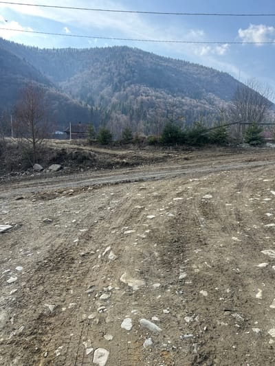 The image depicts a rural mountainous landscape in Korostiv, Ukraine, under a clear sky with high utility wires visible overhead. The foreground is dominated by a wide, unpaved dirt road or track, heavily rutted with numerous tire marks and scattered with rocks of various sizes. Patches of darker, muddier soil are present. In the midground, left of center, a small, dark-colored wooden structure, likely a house or cabin with a dark roof, is partially visible nestled at the base of the mountains. To its left stands a bare deciduous tree with slender branches, adjacent to a cluster of larger stones. To the right of the wooden structure, a row of approximately five young, conical evergreen trees is planted along a rise. Further right, a section of an aged metal fence or barrier is discernible, alongside another bare deciduous tree. The background features a large mountain range densely covered with trees, which appear mostly bare or sparsely foliated, indicating late winter or early spring conditions. No individuals are present in the scene.