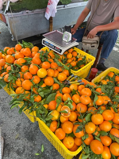 A street vendor in Chongzhou City, China, sells tangerines from yellow plastic crates. A scale sits on a metal cart behind the crates. A person, likely the vendor, sits on a stool, wearing a grey t-shirt and blue jeans. A beige shoulder bag is slung across their chest. A QR code is displayed on a small stand near the scale. The ground is paved with asphalt. The tangerines are bright orange and many have green leaves attached.