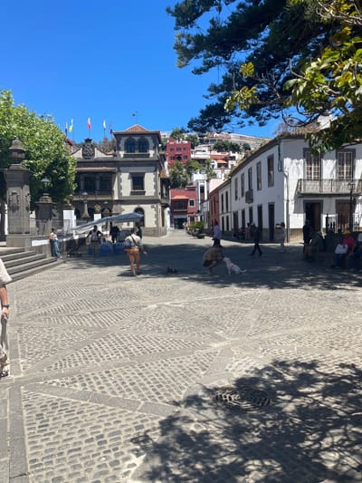 In Teror, Spain, a sun-drenched cobblestone plaza is depicted on a clear day. Several people are present in the plaza, some walking and others sitting. In the foreground, a person walks a small dog on a leash. Further into the plaza, a man crouches down, interacting with a white dog. Several market stalls are set up under a blue tarp, with vendors attending to customers. Buildings with traditional architecture, featuring balconies and tiled roofs, line the plaza. Flags are visible on one of the buildings. The scene captures a lively outdoor atmosphere with a mix of daily activities and commercial presence.