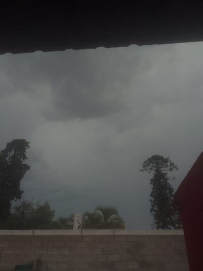 Gloomy sky above a brick wall with trees, palm trees, and greenery in the distance. Dark objects are on the top and right. The sky is covered in gray clouds, with a hint of lighter sky visible near the horizon. It looks like it might rain.