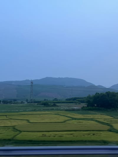 The image captures a broad, peaceful landscape, likely viewed from a window, indicated by the vertical blue-grey frame on the far right. The scene is dominated by a clear, light blue sky that fills the upper portion of the frame, suggesting a bright day.
In the background, successive layers of mountains or hills extend horizontally, appearing increasingly hazy and blue-grey with distance, indicating depth. A continuous line of dark green trees is visible along the base of these mountains.
The middle ground and foreground feature extensive, verdant green fields, which are divided into irregular, geometric shapes by darker lines, likely irrigation ditches or field borders. These fields strongly resemble rice paddies, consistent with the specified location of Phong Thái Ward, Vietnam. A prominent metal electricity transmission pylon stands tall within these fields, silhouetted against the mountainous backdrop. A narrow, lighter-colored strip, possibly an unpaved road or pathway, can be seen traversing the fields towards the mountains.
The lighting is bright and even, indicating daytime with clear weather. No people or specific activities are visible, and there is no discernible text in the image. The overall impression is one of a tranquil and expansive rural setting.