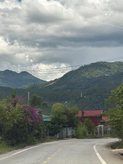 The image depicts a view of a road curving through a rural landscape in Tu Póh, Vietnam. In the foreground, the asphalt road features a white solid line on the left and dashed yellow lines marking the center. The road is bordered by green grass and foliage on the left, with a dense cluster of trees and vibrant purple flowers. On the right side of the road, a red-roofed building is visible, partially obscured by trees and vegetation. Further in the background, rolling green hills covered in dense forest rise towards a cloudy sky. Power lines are strung across the scene, connecting utility poles. The overall impression is of a scenic, somewhat overcast day in a mountainous region.