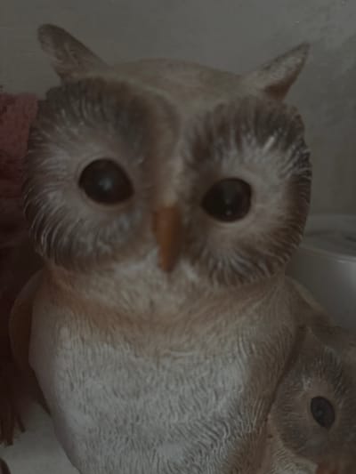 The media file shows a close-up, slightly blurry shot of two owl figurines. The owls are made of a material that appears to be ceramic or resin and are colored in shades of beige and brown, with textured detailing to mimic feathers. They are positioned side-by-side, with their heads turned towards the camera. The left owl is more in focus, revealing large, dark eyes with tiny reflective pupils and a small beak. The right owl is partially obscured by the left one and is less distinct. A hint of a pink, fuzzy object, possibly fabric, is visible beneath the owls. The background is a neutral, light-colored surface, possibly a wall or shelf, with some subtle texture. The lighting is soft and diffused, suggesting an indoor setting. There are no people or text visible in the image. The scene is static, focusing solely on the owl figurines. The overall impression is one of a decorative item, possibly part of a collection or a home decor piece. The shallow depth of field blurs the background and the right side of the image, emphasizing the detail of the left owl's face. The image captures the tactile qualities of the figurines through its textured appearance.