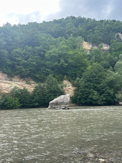 A wide, muddy river flows in the foreground, its surface rippling under an overcast sky. In the middle ground, a large, rough-hewn boulder juts out of the water. Behind the river, a steep, forested hillside rises, its lower slopes featuring exposed, light-colored rock formations. The trees are dense and predominantly a deep green, creating a lush backdrop. The scene appears to be a natural landscape, likely a river valley or gorge, situated in a mountainous or hilly region.