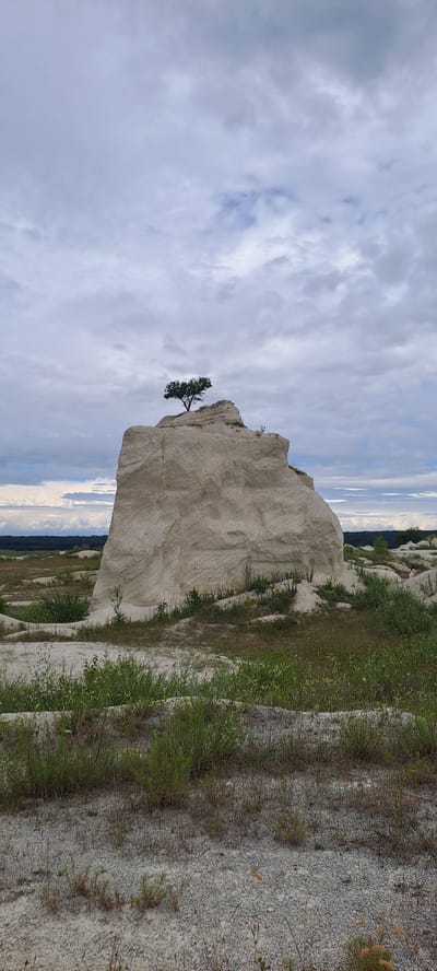 The image shows a rocky, arid landscape with a large, light-colored rock formation dominating the center. A small, solitary tree grows on the summit of this rock. The ground is covered with sparse dry grass and gravel. In the background, the land appears flat and extends to a line of dark trees under a cloudy, overcast sky. The scene is devoid of any people or structures. The specific location in Fetești, Moldova is not identifiable from the image itself.