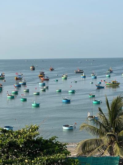 A large body of water, possibly an ocean, is dotted with numerous small boats. The boats appear to be anchored and are predominantly blue and green. A sandy beach runs along the edge of the water on the right side of the image. Lush greenery, including a palm tree and dense foliage, is visible in the foreground. The sky is clear and light blue, suggesting a bright, sunny day. The scene conveys a sense of tranquility and a coastal fishing community.