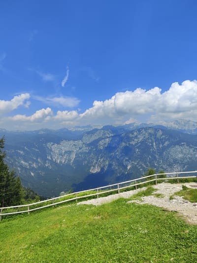 This is a wide-angle, landscape photograph taken from a high vantage point, looking out over a vast mountain range under a bright blue sky with scattered white clouds. In the foreground, a grassy slope is bordered by a simple wooden fence, suggesting a scenic overlook or viewpoint. The grass is a vibrant green, dotted with small white and yellow wildflowers. To the left of the frame, a tall, dark green pine tree stands prominently.
The middle ground is dominated by the imposing mountain landscape. Layers of rugged peaks, covered in dark green forests and lighter-colored rock formations, recede into the distance. The texture of the mountains suggests a mix of steep slopes, cliffs, and valleys. The lighting indicates it is daytime, likely midday, with the sun casting shadows that accentuate the contours of the terrain.
The background reveals a hazy, distant mountain range, further emphasizing the immense scale of the scenery. The sky is a clear, vivid blue, with a few wispy white clouds and a distinct, elongated cloud formation, possibly a contrail, stretching across the upper portion of the frame.
The overall mood is one of tranquility and awe, capturing the natural beauty of a mountain vista. There is no visible text in the image. The location is identified as Ukanc, Slovenia, consistent with the appearance of alpine scenery.