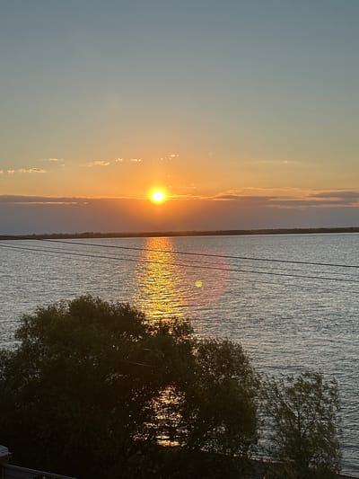 This is a vertical, eye-level shot of a sunset over a large body of water, likely a reservoir or lake, as seen from the shore. The sun, a bright, circular orb, is positioned slightly left of center in the upper half of the image, casting a vibrant golden reflection on the rippling water. The sky transitions from a pale blue at the top to warm oranges and yellows near the horizon, with thin, wispy clouds scattered across the sky.
In the foreground, dark silhouettes of trees with dense foliage dominate the lower portion of the frame. Some of these trees are in shadow, while others are partially illuminated by the setting sun, creating a dappled effect. Three dark, thin electrical wires stretch horizontally across the middle of the frame, spanning over the water. The distant horizon shows a faint outline of land, possibly a treeline. The overall atmosphere is serene and tranquil, characteristic of a sunset over water. The image was captured in Воронежское-2, Russia.