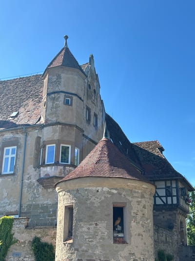 The image shows a section of Burg Untergruppenbach, a castle located in Untergruppenbach, Germany. The view focuses on the castle's architecture, depicting a tower with a pointed roof covered in red tiles. The tower's walls are a mix of stone and plaster, showing signs of age and weathering. Several windows of different sizes are visible on the tower. A round turret with a conical roof is also part of the structure, with ivy growing on the lower section of the building. The sky is clear and blue.