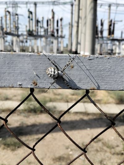 In the village of Taushyk, Kazakhstan, a spider with a white and black patterned abdomen and legs is perched on a weathered gray metal bar. The bar is part of a fence, with rusty chain-link fencing visible below it. In the background, out of focus, is an industrial electrical substation with numerous tall, gray concrete pillars and electrical equipment. The ground is covered in dry grass and dirt.