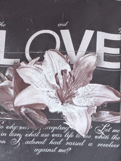 The image shows a close-up of a decorative artwork, likely a print or painting, on a dark background. Prominently displayed is the word "LOVE" in large, stylized white lettering. Below the word "LOVE" is a detailed illustration of a lily or similar flower, rendered in shades of white and brown. The lower portion of the artwork features handwritten text in white script, which appears to be a poem or quote. The text includes phrases like "So why was," "accepting," "in turn, what use was life to me," "Let me," "when the," and "adored had raised a revolver against me?". The artwork is presented as a flat surface, possibly a wall decoration. There is no information or visual content within the image that would indicate its location in the city of Ridder, Kazakhstan.