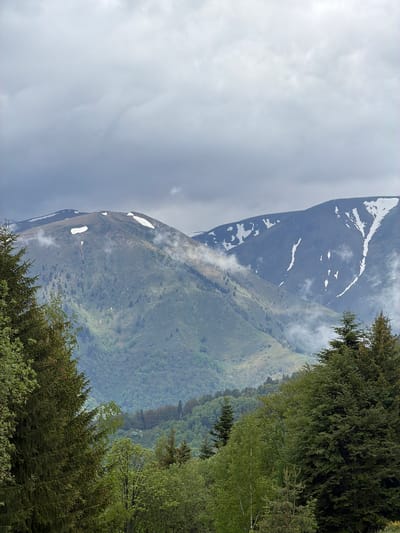 The image depicts a mountainous landscape in the vicinity of Rila Monastery, Bulgaria. The scene is dominated by two prominent mountain peaks. The peak on the left is partially covered in snow, particularly along its upper ridges and in patches along the slopes. Clouds obscure parts of this peak. The peak to the right is covered with lush greenery, suggesting a lower altitude and a different type of vegetation. In the foreground, there is dense tree cover, adding depth to the view. The sky is overcast with grey clouds.
