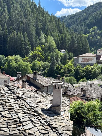 The image displays a panoramic view of Shiroka Laka, Bulgaria, characterized by traditional Bulgarian Revival architecture and its natural surroundings. The foreground is dominated by a cluster of houses with distinctive slate roofs, some of which are in disrepair. The slate tiles are laid in a staggered pattern, with visible texture and variations in color, ranging from grey to brownish tones. Several chimneys, constructed from stone and brick, punctuate the rooftops, adding to the rustic aesthetic.
In the mid-ground, more houses with similar slate roofs are visible, nestled amongst lush green trees. One building stands out with a white facade and a large, colorful mural depicting abstract figures and symbols, likely an emblem or artwork associated with the village's cultural heritage. Another taller structure with a tiled roof and a bell tower is also present, hinting at a historical or religious significance.
The background is a dense, verdant forest covering the slopes of a mountain range. The trees are predominantly coniferous, creating a deep green tapestry against the clear blue sky, dotted with fluffy white clouds. The sunlight casts shadows across the scene, highlighting the texture of the slate roofs and the foliage. The overall impression is one of a picturesque mountain village where traditional architecture harmonizes with the natural environment.