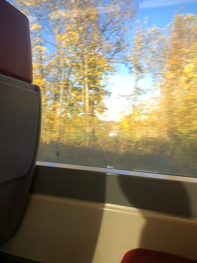 The image presents a view from inside a moving vehicle, likely a train, looking out a window at a blurred autumnal landscape in Dettwiller, France. The external environment features a dense array of deciduous trees with predominantly yellow foliage, indicative of the autumn season. A bright blue sky is visible above the tree line, with an intense light source, possibly the sun, causing significant glare in the mid-right portion of the frame. The horizontal streaking of the trees and background elements confirms the vehicle's motion.
Within the interior of the vehicle, the left side is occupied by the back of a grey seat or partition, topped with a rounded, red-brown element, likely a headrest. The lower portion of the window frame is a grey-metallic bar. Below this, a light-colored, possibly beige or white, horizontal surface extends across the bottom of the frame, serving as a window sill or table. Distinct shadows, presumably cast by interior elements or passengers, are visible on this surface and the wall below the window. In the bottom right corner, a small section of a red-brown object, consistent with another seat, is present. A small, partially legible sticker or label is affixed to the lower left portion of the window glass, with the text "ACC" visible among other unreadable characters. No individuals are directly visible.