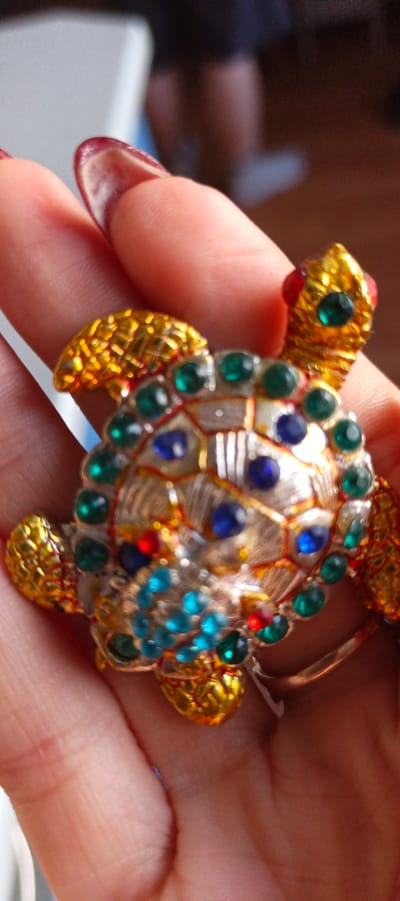 A person is holding a bejeweled turtle figurine in their hand. The turtle is gold and silver with blue, green, and red stones. The person's fingers and fingernails are visible, with dark red nail polish. The background is blurred and appears to be indoors. There is no information about the location in Tikhvin, Russia.