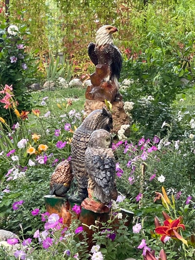 The image depicts a garden scene with a collection of carved wooden bird figures, including an eagle and several owls, arranged on wooden pedestals. These figures are surrounded by a variety of flowering plants, such as petunias and lilies, in shades of pink, purple, orange, and red, along with green foliage and some rocks. In the background, a fence covered with climbing plants is visible. The scene is likely located in Budyonnovsk, Russia, as per the prompt. There are no people or animals present in the image, and no actions or interactions are occurring. The overall impression is a decorative garden display.