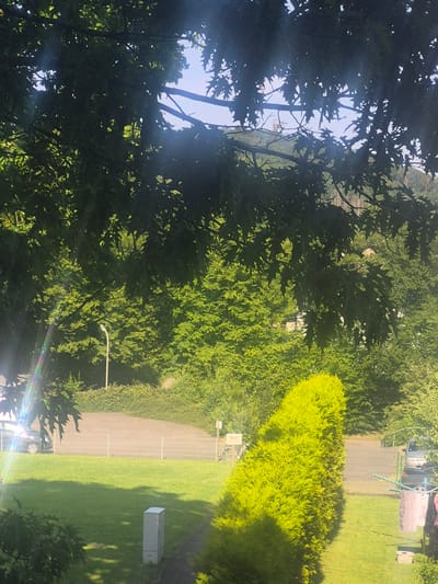This image captures a sunlit scene, likely an outdoor residential area in Bergneustadt, Germany. In the foreground, a vibrant green lawn is partly shaded by the dark foliage of a large tree, casting dappled shadows. A light grey utility box stands on the lawn to the right of the frame. A tall, conical evergreen bush, illuminated by the sun, dominates the right side of the midground. Behind the bush and to the left, a paved pathway or road is visible, separated from the lawn by a metal fence. A white street lamp stands near the pathway. Further in the background, a dense forest of lush green trees covers a gentle slope. Sunlight flares and lens effects are present, particularly on the left side of the image, indicating a bright sunny day. A dark-colored vehicle is parked on the pathway to the left. To the right, a clothesline with several items of laundry is set up on the lawn. The sky is mostly obscured by the tree branches.