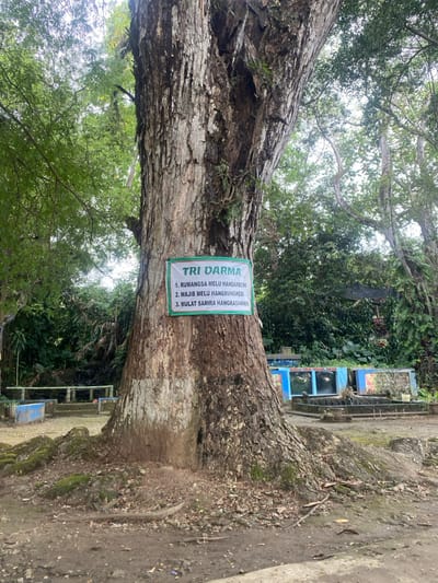 The image shows a large tree with a sign attached to it. The sign is green and white and has the words "TRI DARMA" written in large letters. The sign lists three rules: 1. Rumangsa melu handarbeni (sense of belonging), 2. Wajib melu hangrungkebi (obligation to help), and 3. Mulat sarira hangrasawani (self-reflection). The tree is located in a park setting with a small fountain behind it. The tree is surrounded by lush green foliage, with a gravel path visible at the bottom of the image. The location is in the Kecamatan Manyaran area of Indonesia, specifically at the coordinates -7.826, 110.816.