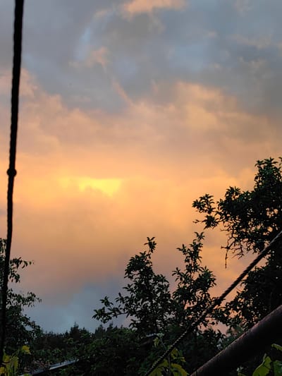 The image depicts a sky at sunset in Slatina, Bulgaria. The clouds are a mix of orange, grey and blue. The lower portion of the image includes treetops silhouetted against the sunset sky. A blurred wire is in the foreground on the left. Another wire and a pipe or railing are in the foreground on the right. The focus is primarily on the sky and the colors of the sunset. There is a small dark object, possibly a bird, in the sky.