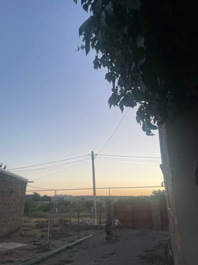 This is a medium shot, taken at dusk, depicting a scene in the city of Myasnikyan, Armenia. The sky is clear and transitioning from blue to a pale orange near the horizon. In the foreground, dark green leaves of a tree hang down from the top right corner. To the left, a portion of a brick building with a sloped roof is visible. In the middle ground, a gravel area is present, with a large, weathered metal gate forming the backdrop. Two individuals, one appearing to be a child in a white tank top and shorts, and another person, are present in the gravel area. The child is standing, while the other person appears to be interacting with two dogs. The environment is somewhat unkempt, with scattered debris and dry vegetation visible. Electrical wires are strung across the scene, supported by a wooden pole. In the background, a residential area with houses and trees can be observed.