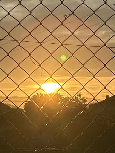 The image is a photograph of a sunrise viewed through a chain-link fence. The sun is low on the horizon, casting a warm golden glow across the sky and illuminating the landscape. In the foreground, the dark, diamond-shaped pattern of the fence is prominent, creating a grid-like effect that overlays the scene. Beyond the fence, trees and the roofs of buildings are silhouetted against the bright sky. The location is identified as Marino pole, Bulgaria.