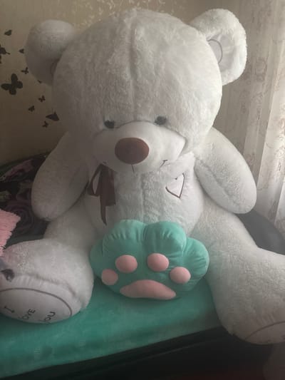 The image shows a large, white, plush teddy bear sitting on a teal-colored surface, possibly a bed or sofa. The teddy bear has a brown nose and a small brown ribbon around its neck. On its chest, there is a white heart-shaped patch with a brown outline. In front of the teddy bear's legs, there is a green paw-shaped pillow with pink paw pads. The background features a wall with a subtle floral pattern and some dark butterfly decals. Natural light appears to be coming from the right side of the image, illuminating the teddy bear and casting soft shadows. The bottom of the teddy bear's left foot is visible, with the inscription "I love you" in grey lettering. The overall scene appears to be indoors. There is no visible indication of the city of Sasovo, Russia within the image or its context.