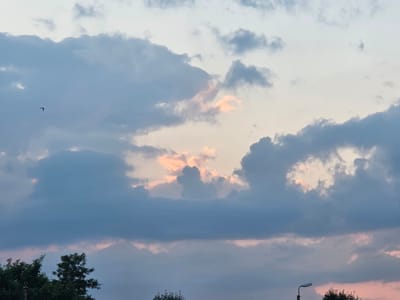 A wide shot captures a twilight sky over Širvintos, Lithuania, filled with dramatic, textured clouds. The lower third of the frame is dominated by dark, silhouetted trees and the faint outline of a streetlamp, suggesting an urban or suburban setting. The clouds, in shades of grey, blue, and soft pink, are illuminated from behind by the setting sun, creating pockets of warm light and casting deep shadows. A lone bird, appearing as a small, dark silhouette with wings outstretched, is captured in flight against the expansive cloudscape, adding a sense of scale and movement to the serene yet dynamic scene.